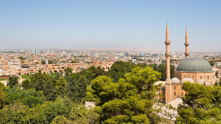 Arşiv