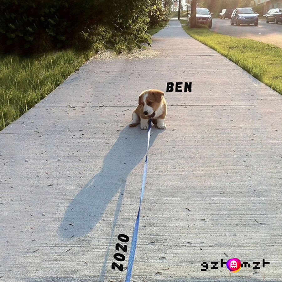 ​Ne eksik ne fazla tam olarak bu