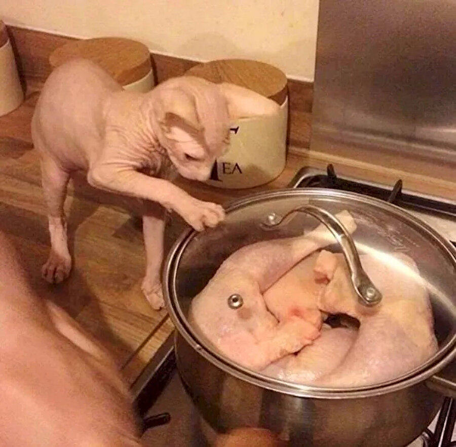 Abi? Abim n'aptılar sana?