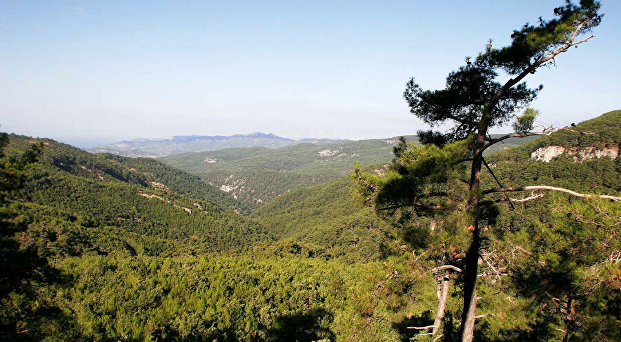 Kaz Dağı ya da İda Dağı, Edremit Körfezi'nin kuzeyinde Çanakkale ve Balıkesir illeri arasında yer alan bir dağdır.