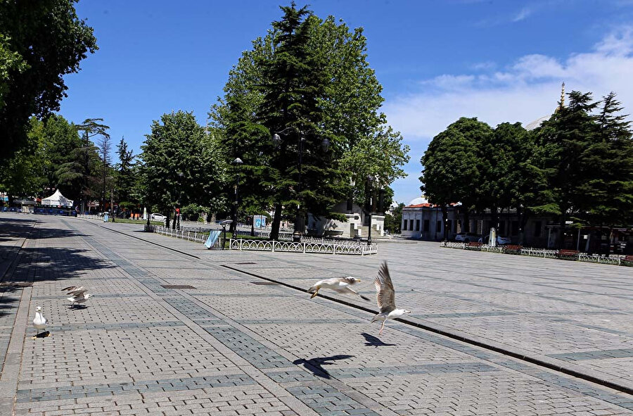 Arşiv