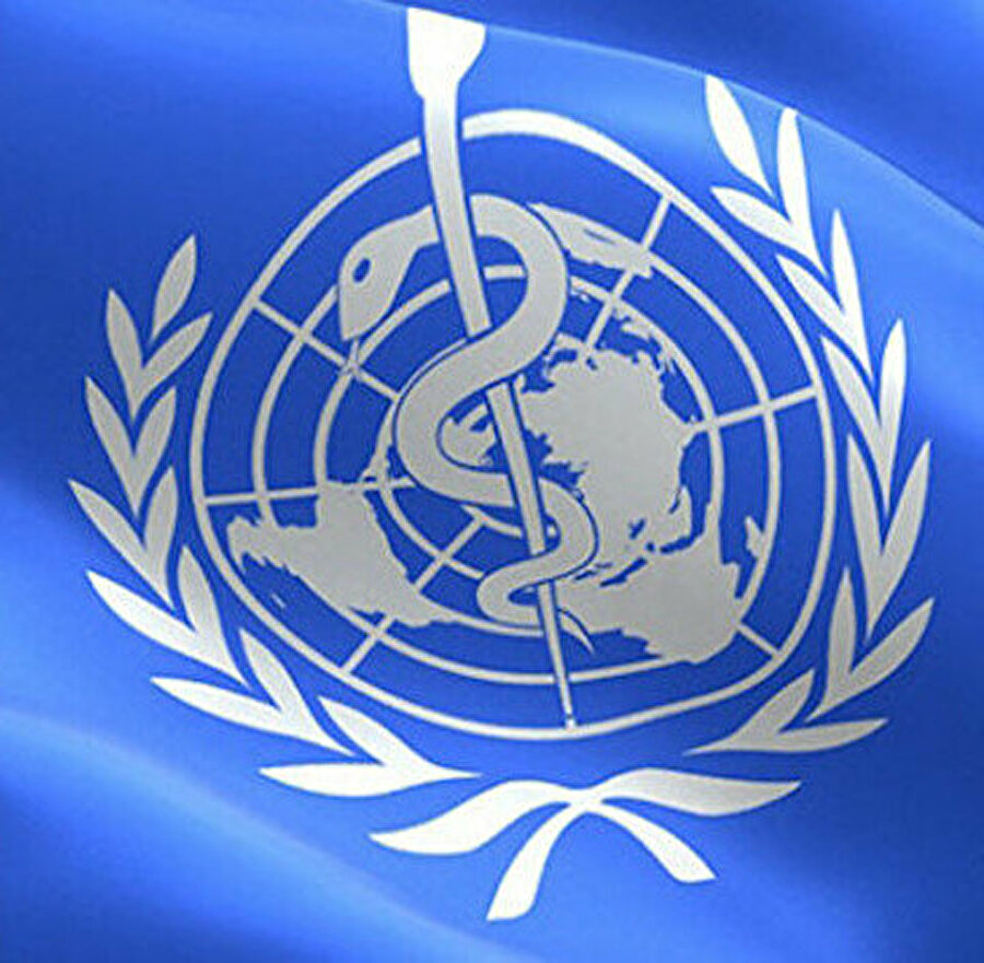 Oktay, Dünya Sağlık Örgütünün de daha şeffaf bir yapılanmaya ihtiyacı olduğunu belirtti.