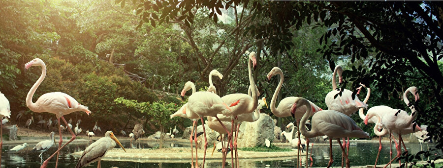 Kuala Lumpur kuş parkı, Malezya'daki 20,9 dönümlük bir kamu kuşhanesidir ve yıllık ortalama 200.000 ziyaretçi alan popüler bir turistik cazibe merkezidir.
