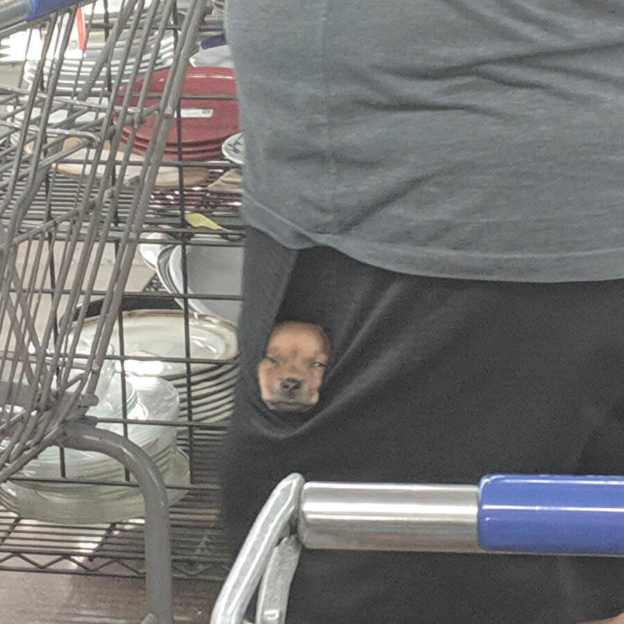 Güne tatlışlıkla başlıyoruz​