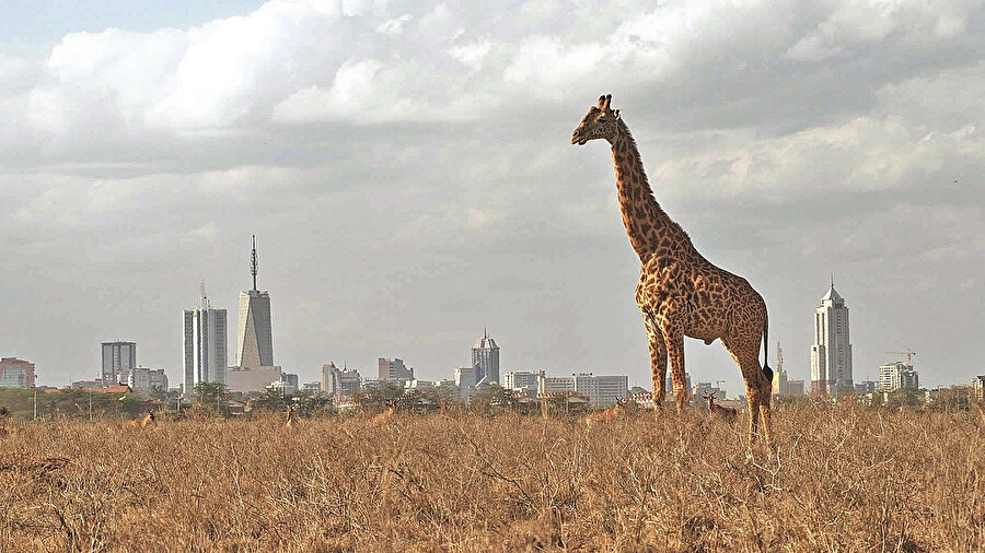 Nairobi