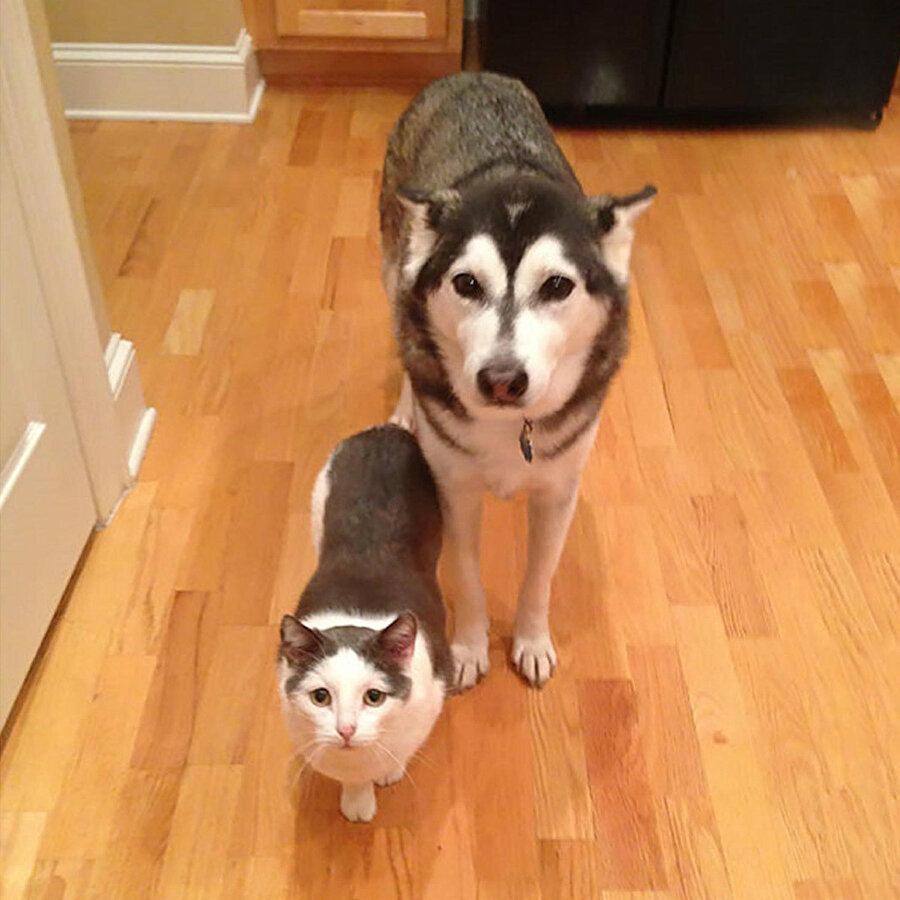 ​Kardeşimle berberden çıkmışızdır