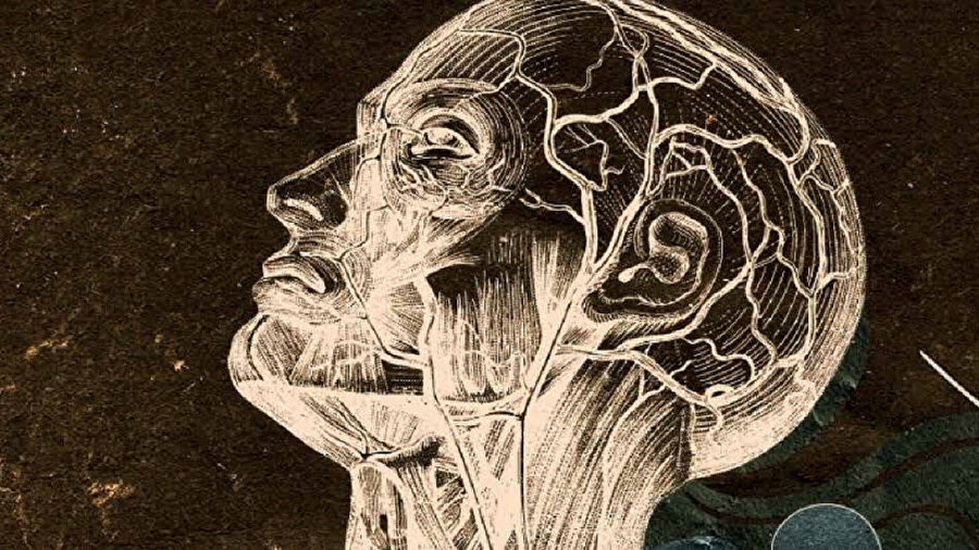 Bugün bilimsel ve felsefi çoğunluk, insan beyninin Newton kanunları ile işlediğine inanıyor.