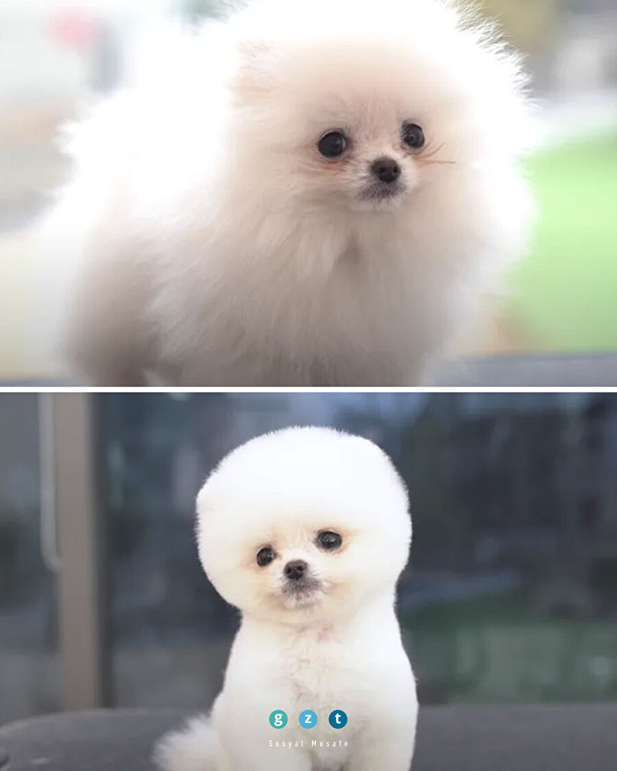 Öncesi ve sonrası 😇