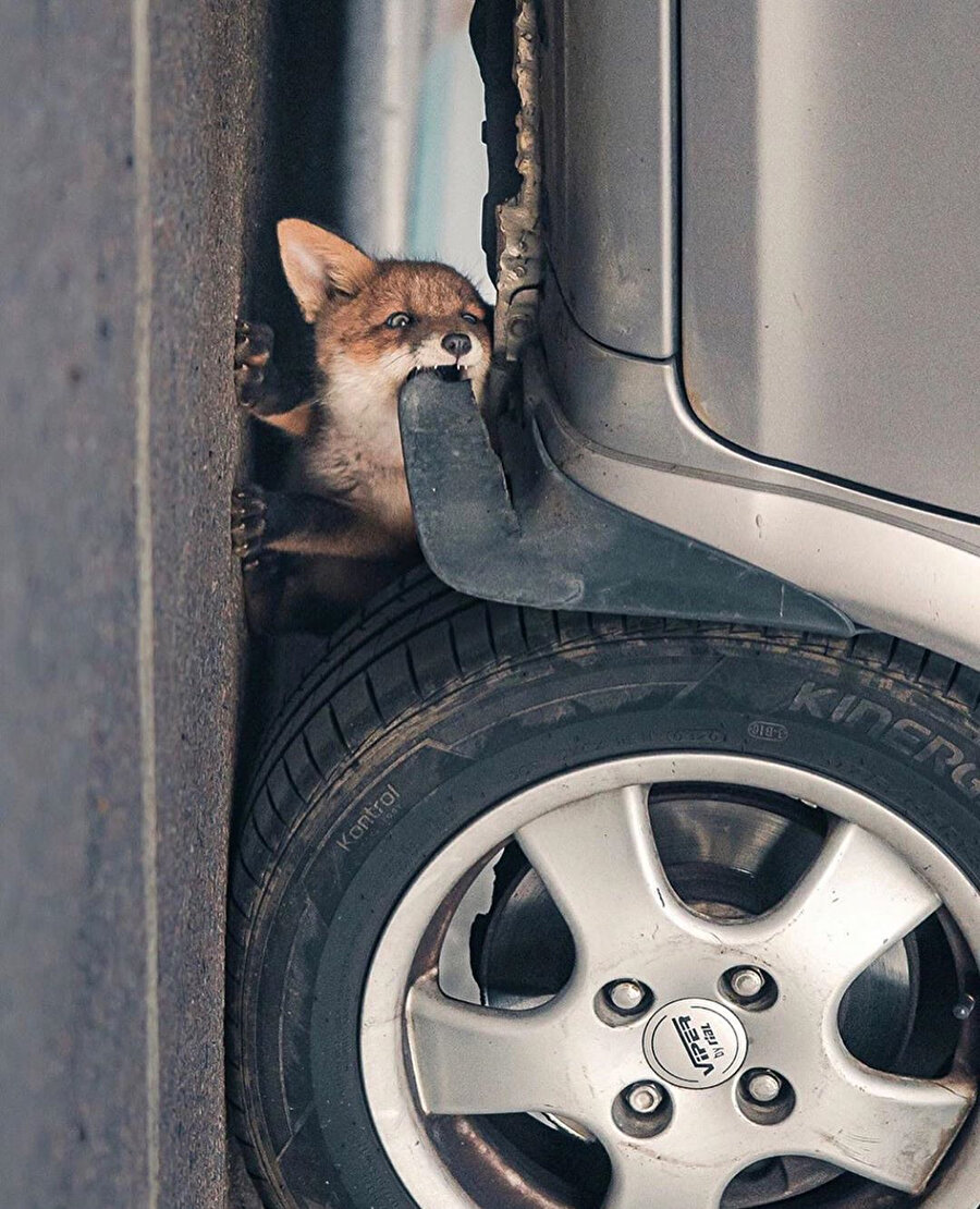 Konsta Punkka'nın gözünden 📸
