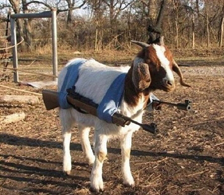 Kafa atmam, tararım!