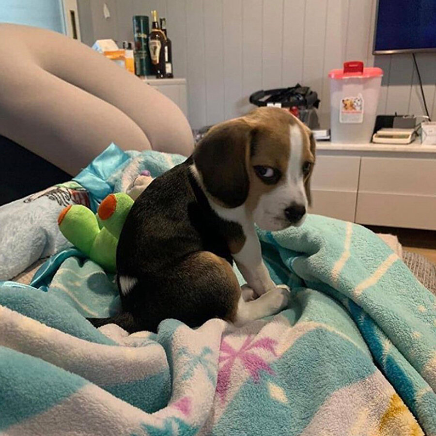 O: Sinirlenince çok tatlı oluyorsun Ben:​