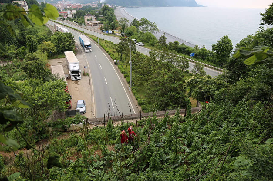 🛣️🌱Altı tünel üstü tarla