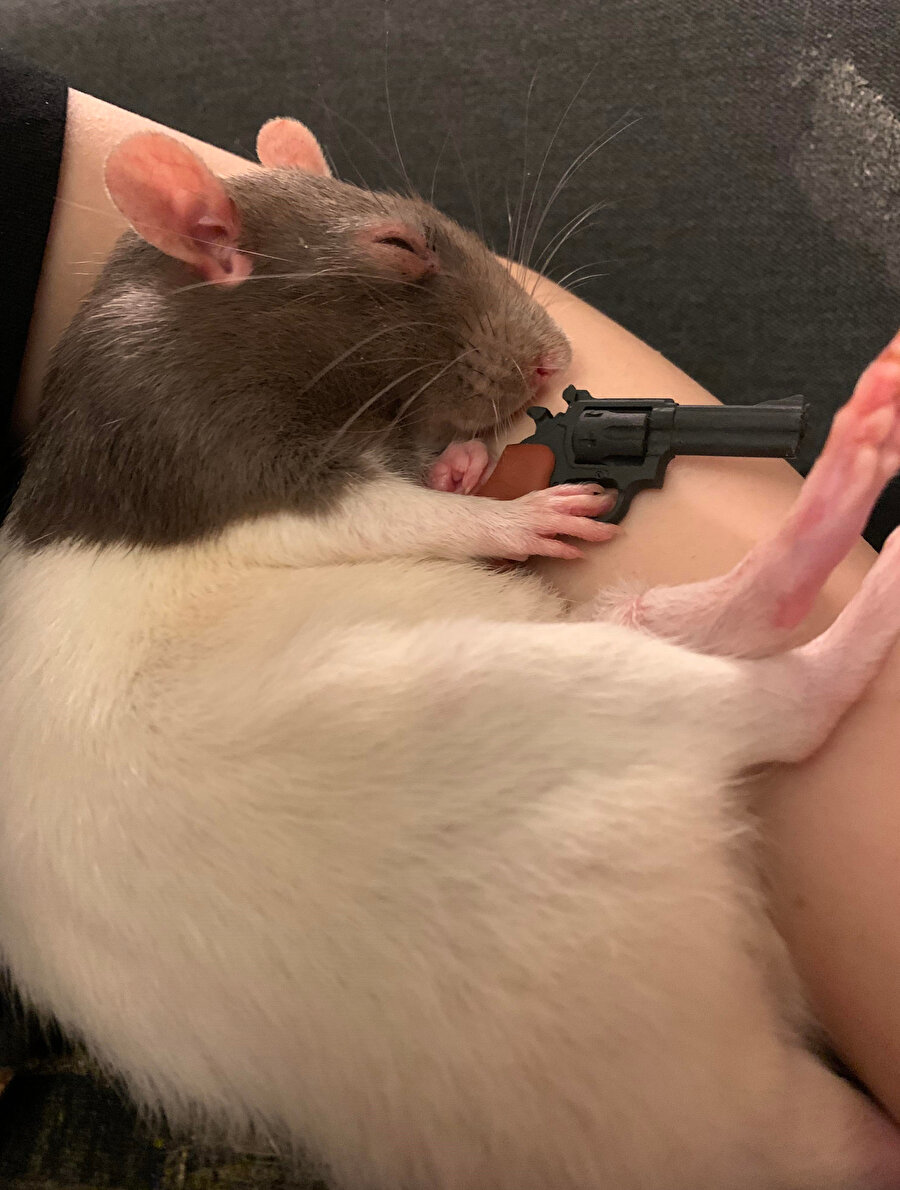 Ya eve fare girerse?