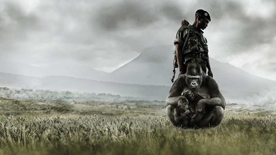 Virunga belgeseli