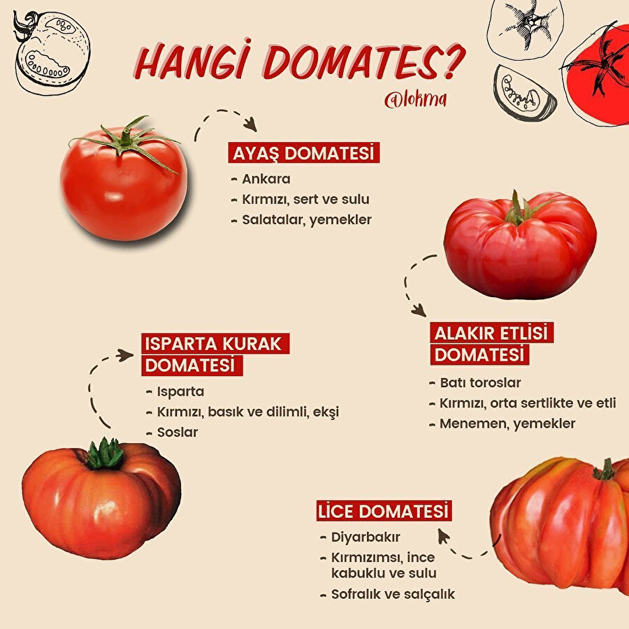 Hangi domates? 🍅
