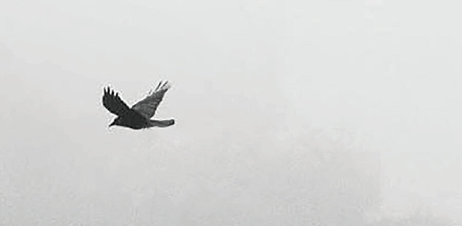 Herkesle birlikte temennimiz odur ki, bu kez doğru olanı tercih ederek inşa etsin dünyasını.