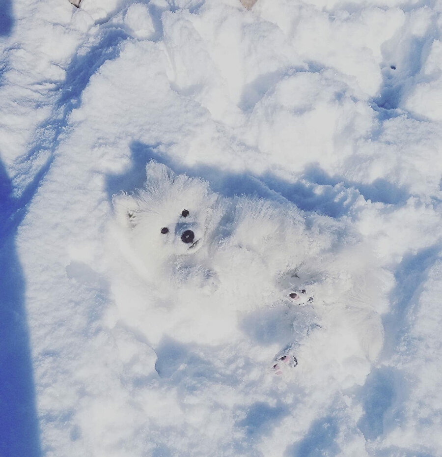 Biraz stalk yapalım dedik