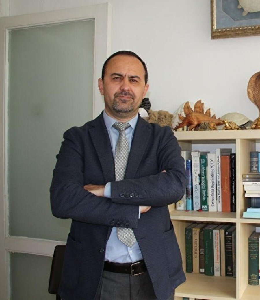 Prof. Dr. Dinçer Ayaz