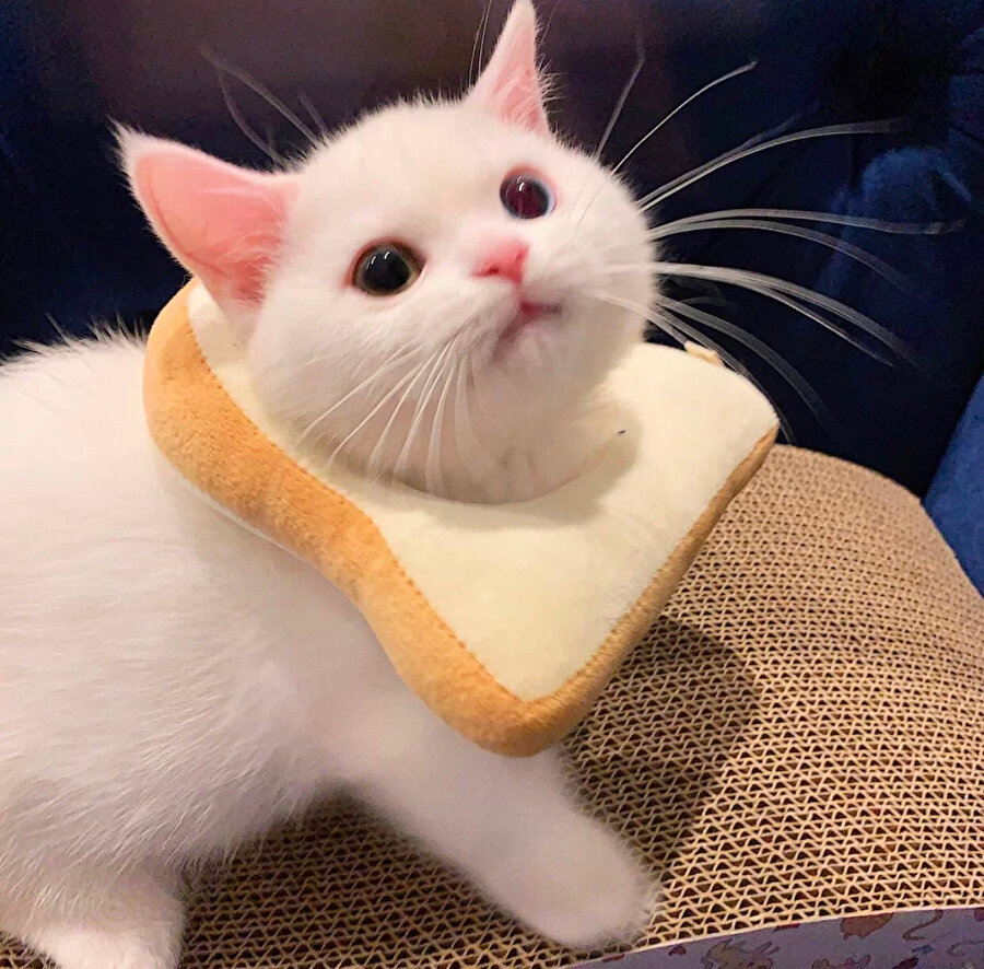 Ayılmadan kahvaltı yapıyorum