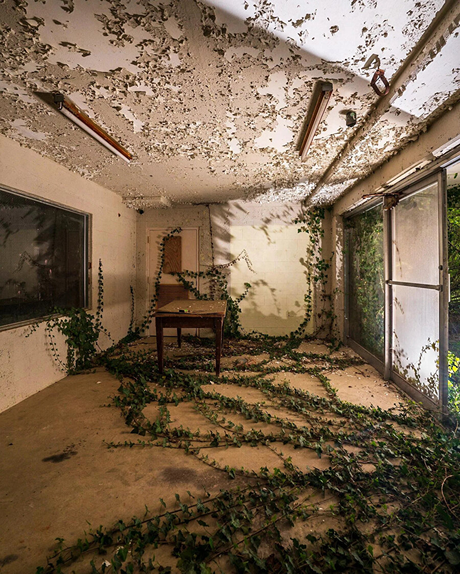 Kullanılmayan depoya doğa el koymuş