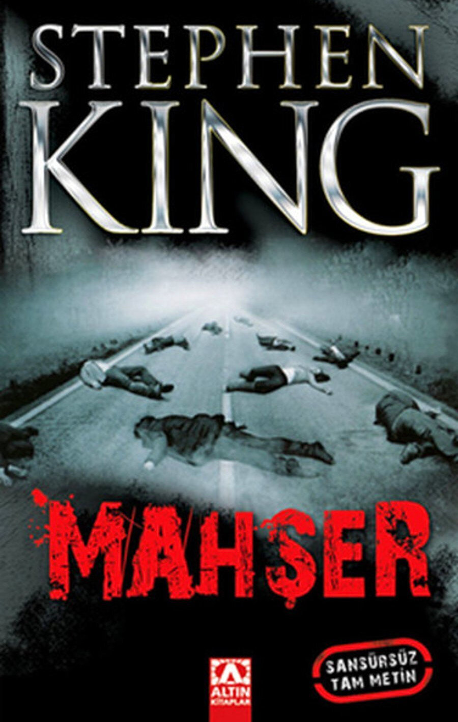 Ünlü yazar Stephen King 1978 yılında Stand (Mahşer) adlı kitabını yayımladı.