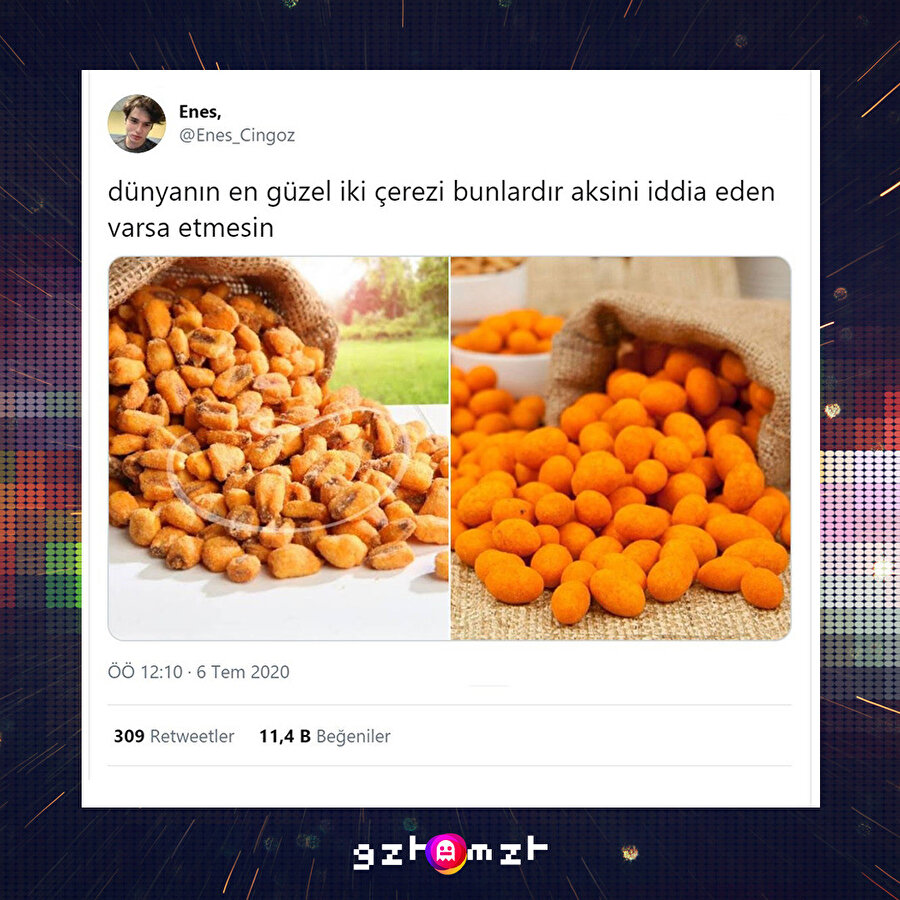 ​Fındık: Bunlar kim ya