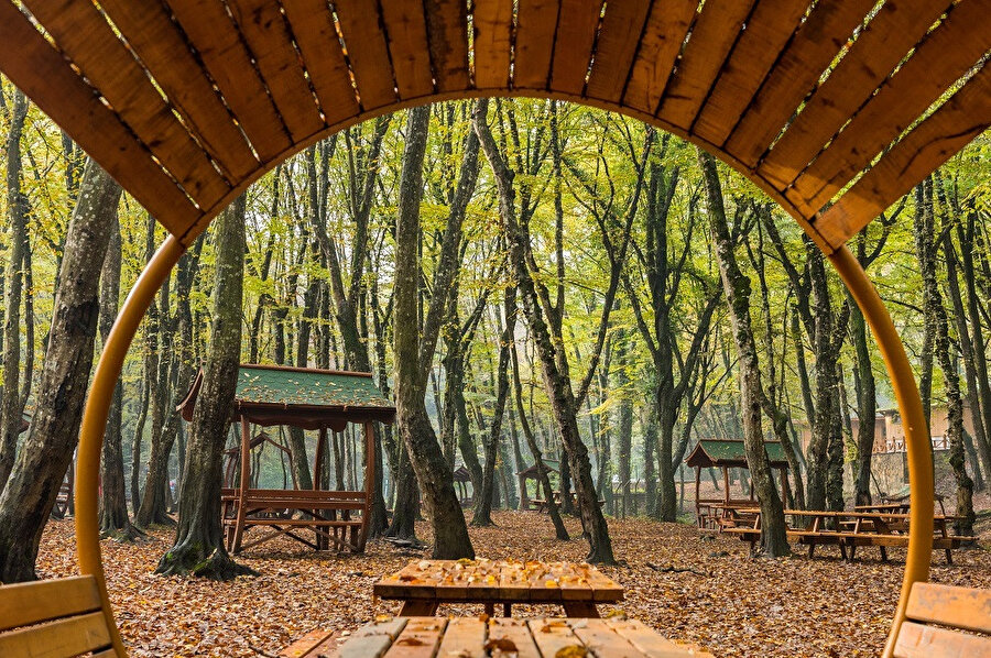 Belgrad Ormanı - Sarıyer
