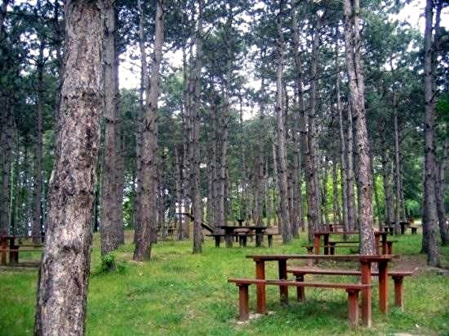 Türkmenbaşı Tabiat Parkı - Sarıyer