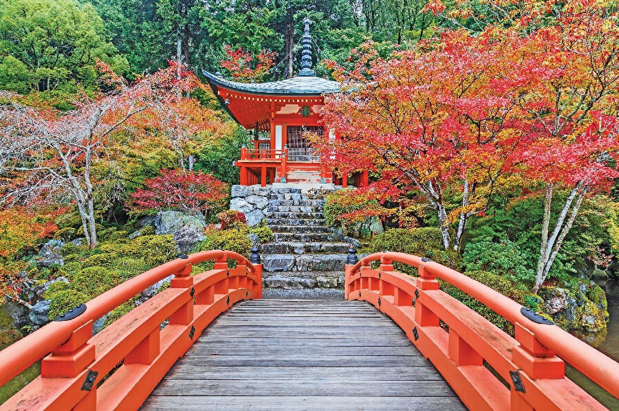 Kyoto, Japonya'nın Kyoto prefektörlüğünün merkezi ve en büyük şehridir. 
