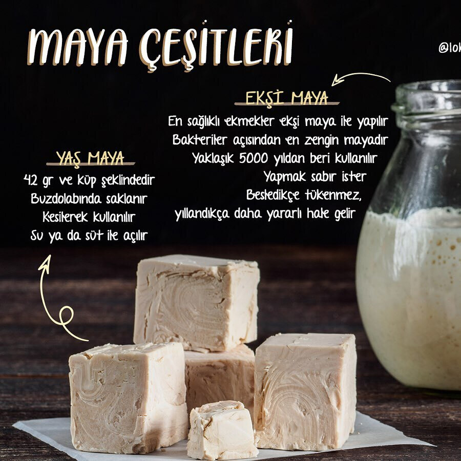 Maya çeşitleri 🍞