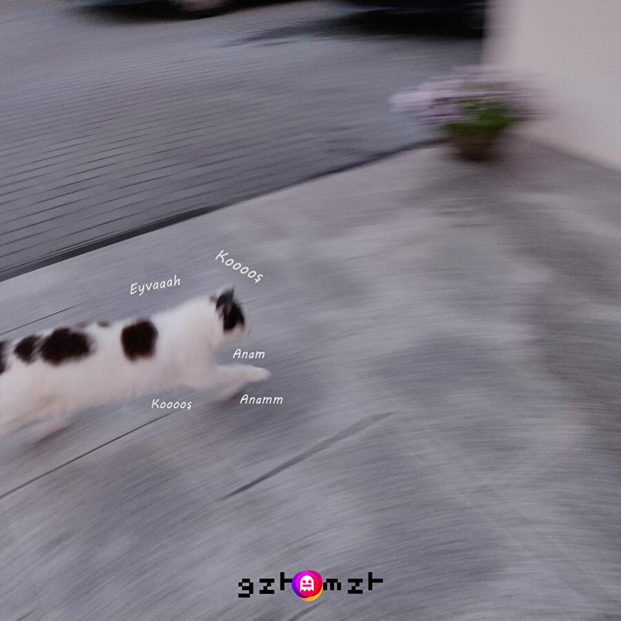 Evden çıktıktan sonra maskemi unuttuğumu fark ettim