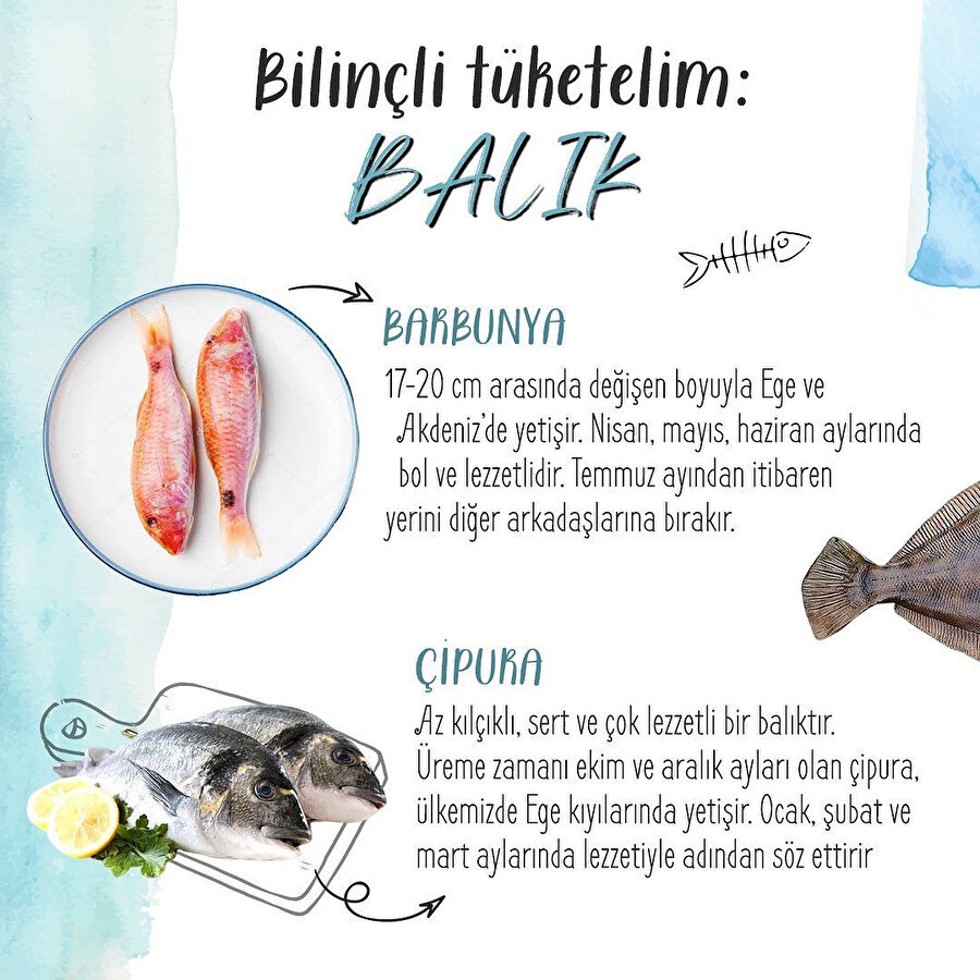 Bilinçli tüketelim: Balık 🐟