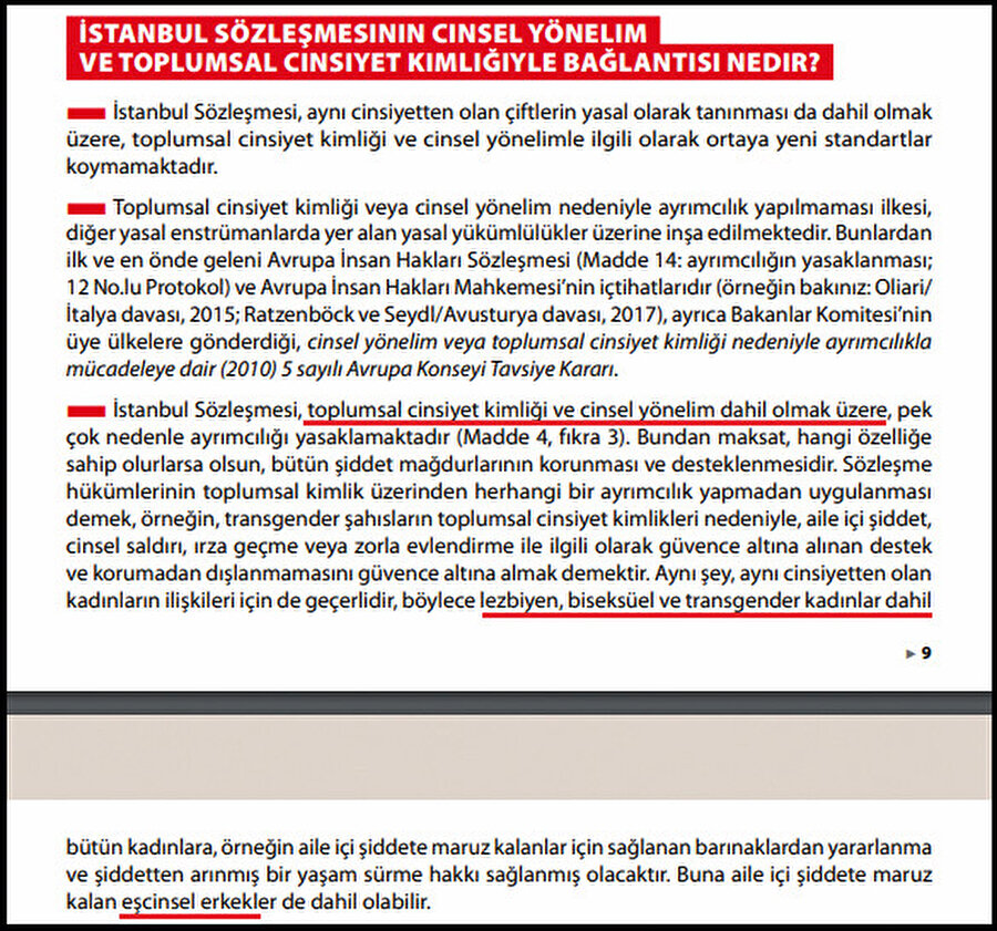  İstanbul Sözleşmesi, toplumsal cinsiyet kimliği ve cinsel yönelim dâhil olmak üzere, pek çok nedenle ayrımcılığı yasaklamaktadır.