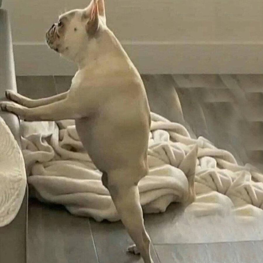 ​Hafif kilolu biri skinny fit pantolon giymiştir 🥴