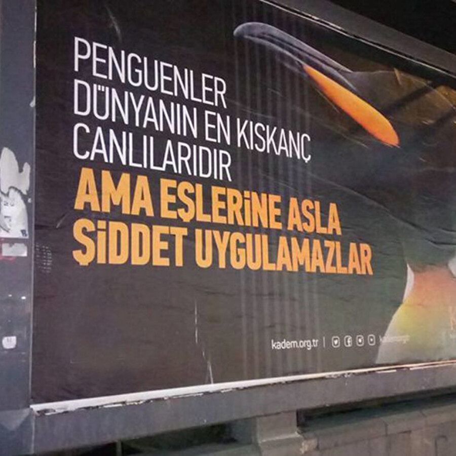 Penguenler gibi olalım