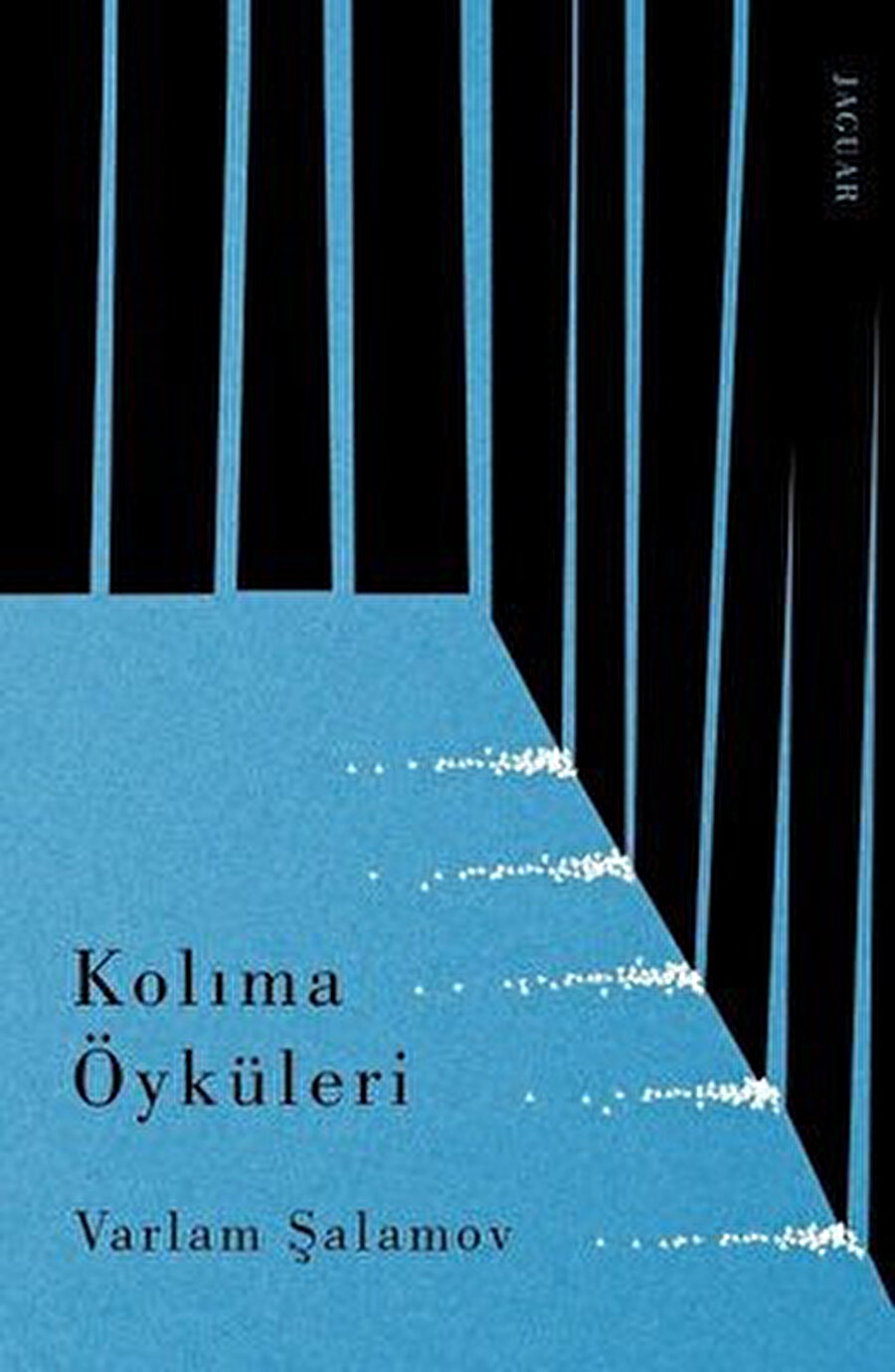 Kolıma Öyküleri’ni okurken nasıl olup da bu öyküleri onun yaşamından çekip alacağız diyebilirsiniz.