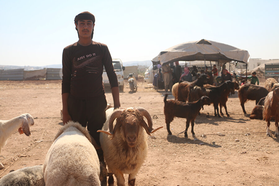 İdlib'deki kamplarda bir kurban pazarı.