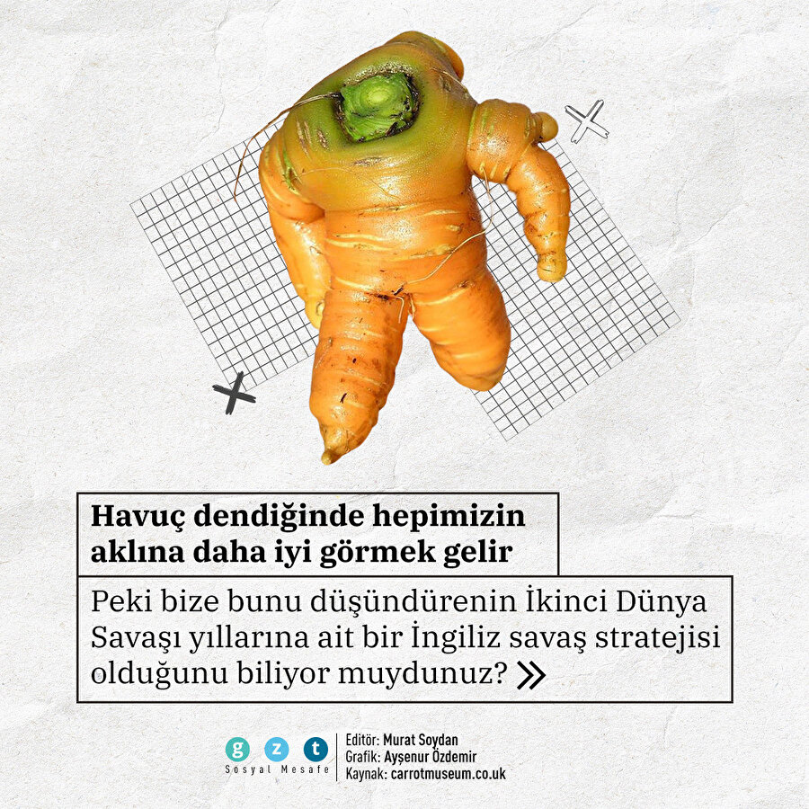 Havucu 'süper sebze' yapan hikaye