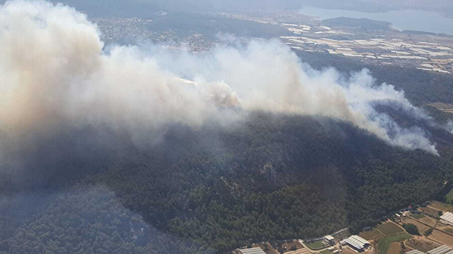 İzmir Menderes'te çıkan orman yangını