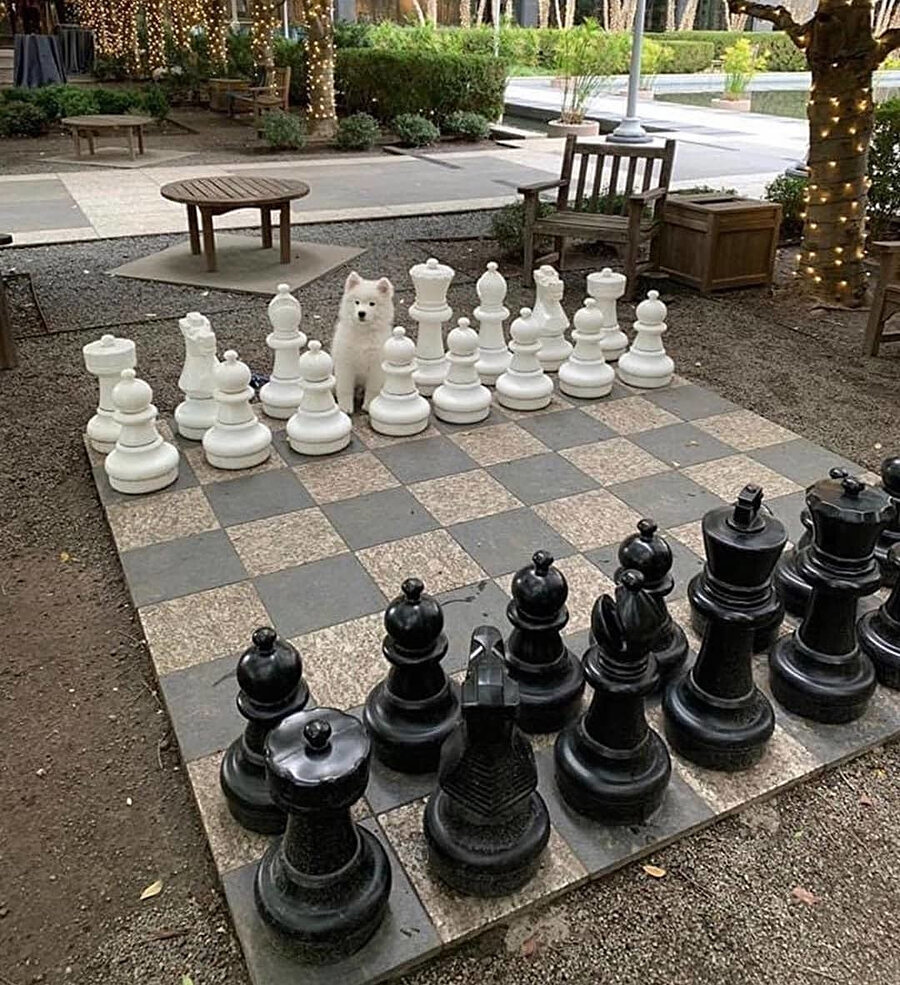 Bunu mat da edemezsin ki şimdi...