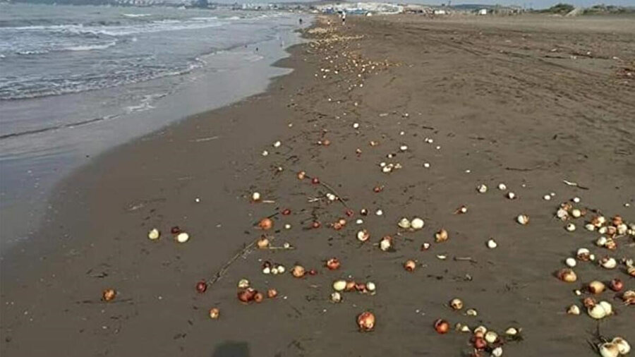 Soğanları kimlerin denize döktüğü henüz bilinmiyor