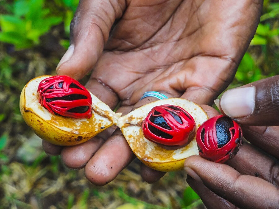 Zanzibar dünyanın önde gelen baharat üreticilerindendir.