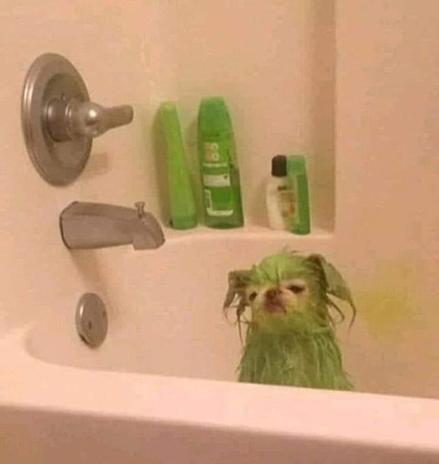 ​Hulk'ın şampuanıyla yıkanmış