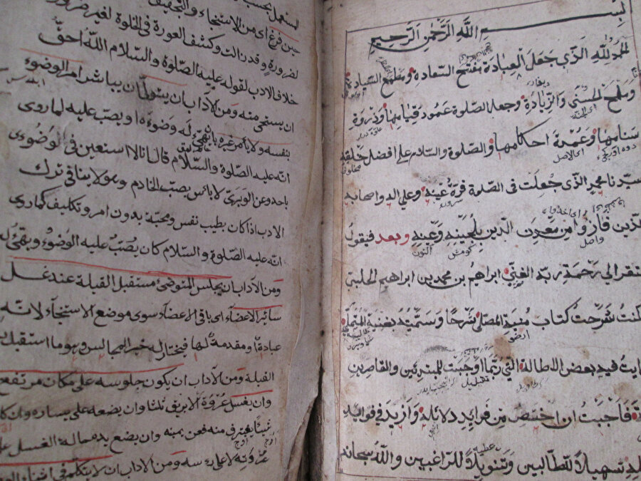 Antiqui Orbis-Dedemin kitapları​