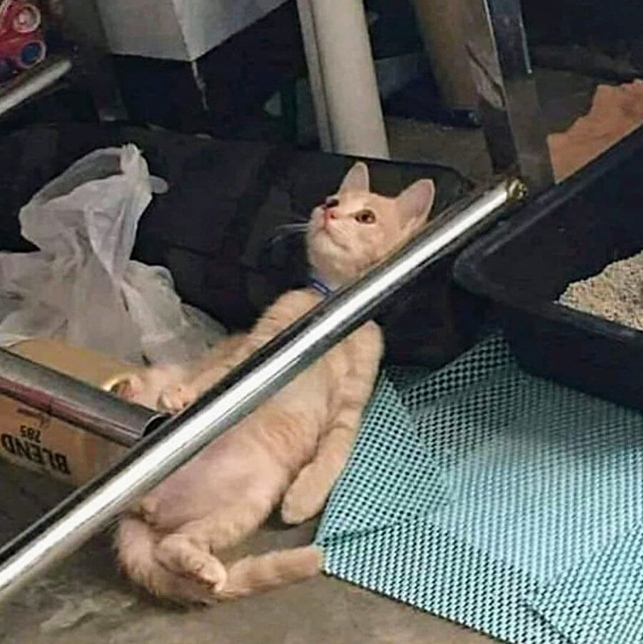 ​İzinli günümde erken uyandım