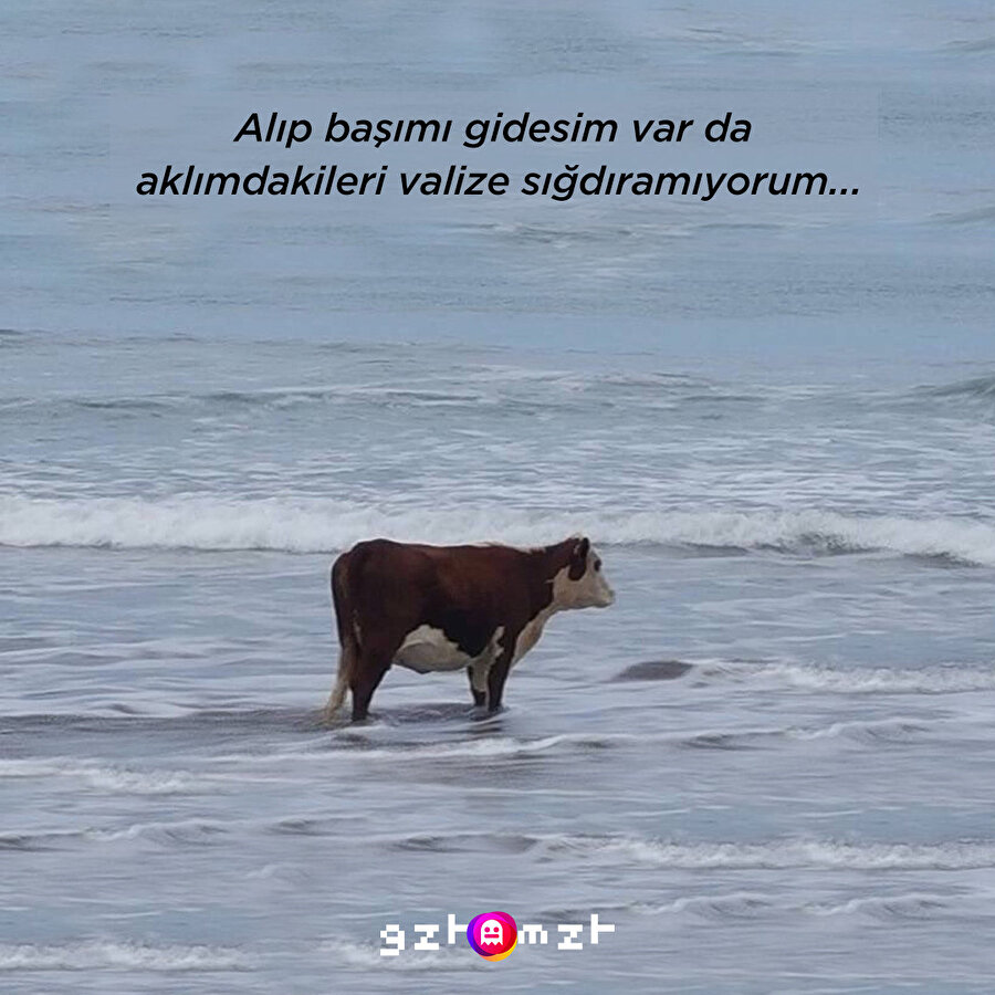 Dertli_Cow22 Oturum açtı​