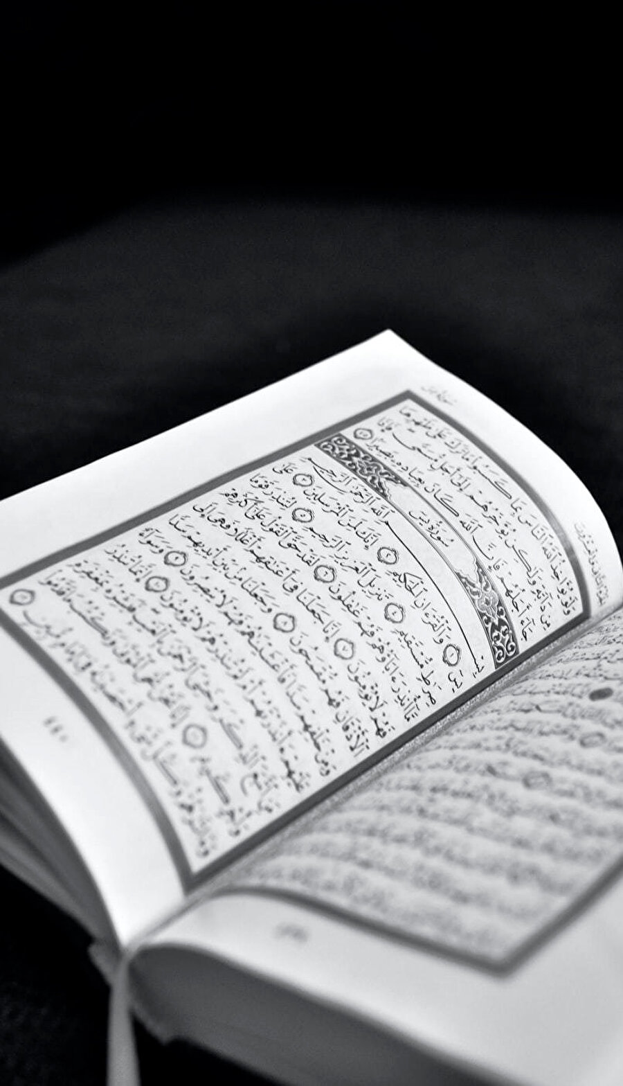 Allah, Kitab-ı Kerim’inde “Ve mâ halaktul cinne vel inse illâ li ya’budûni” buyuruyor.