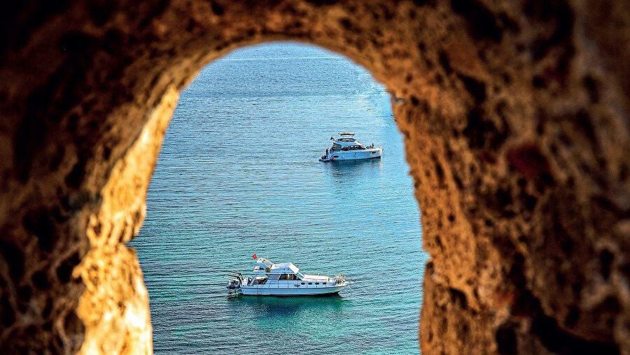 Ada kıyıları balıklar için doğal bir sığınak ve üreme bölgesidir. 