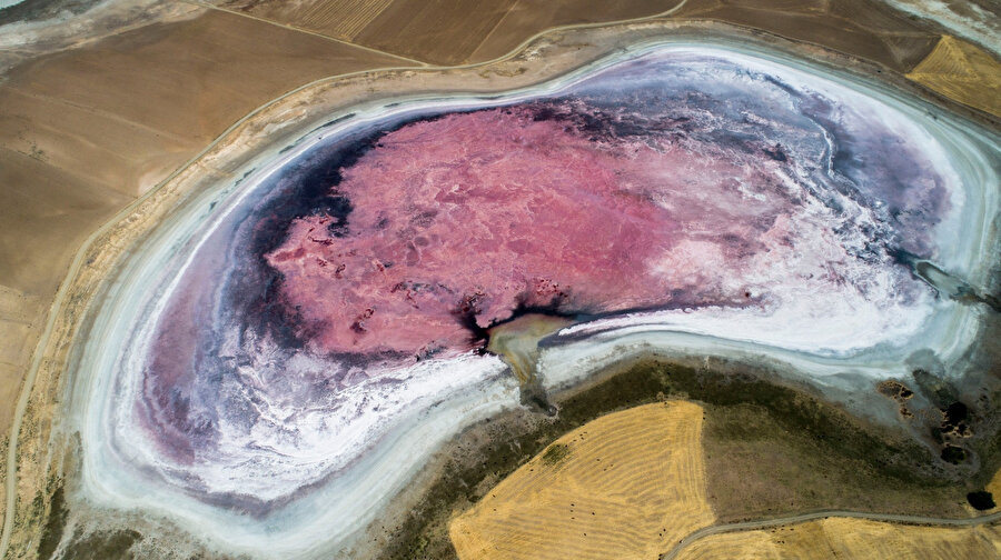Küçük Göl kuruyunca rengi pembe oldu