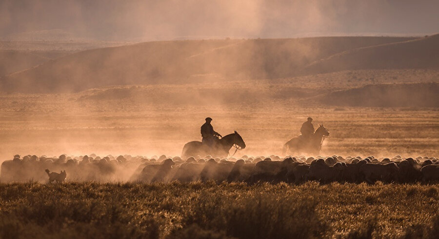 Gaucho, genellikle Güney Amerika'da pampa, chaco veya Patagonya otlakların, özellikle Arjantin, Uruguay, Güney Şili ve Brezilya'nın Güney Bölgesi başta olmak üzere bazı bölgelerin sakinlerini tanımlamak için kullanılan bir terimdir.